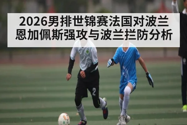 2026男排世锦赛法国对波兰 恩加佩斯强攻与波兰拦防分析 - c7